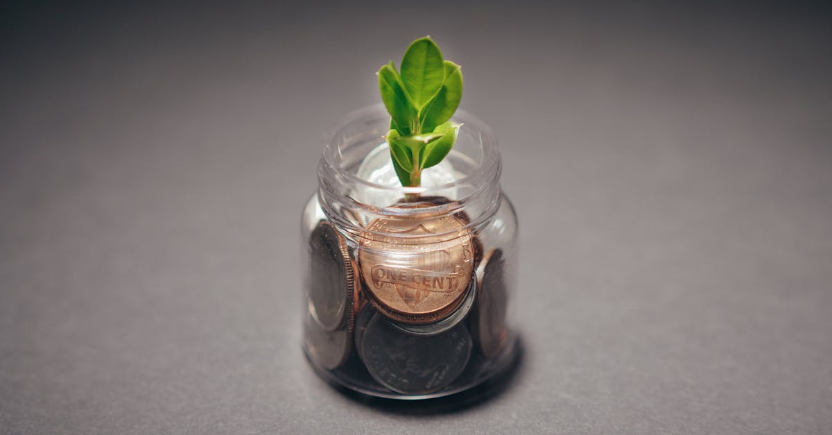 Two retirement income paths showing drawdown and annuity