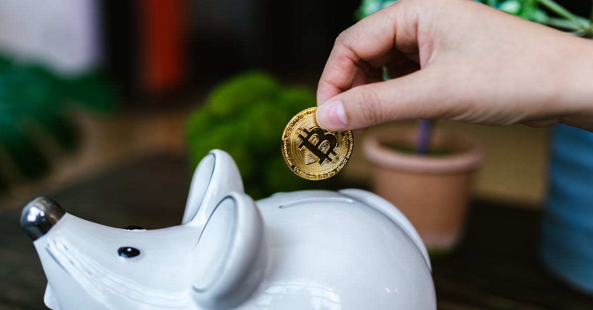 Small coin jar growing slowly with encouragement message