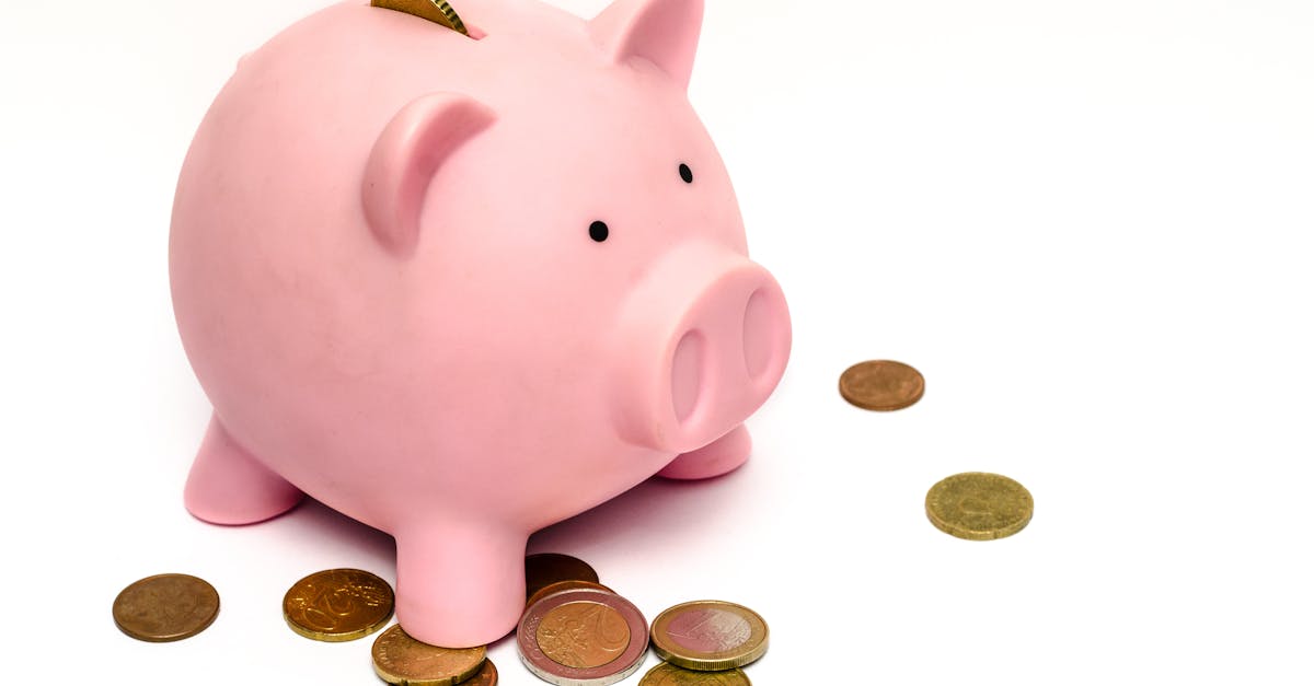 Student budgeting with calculator and term planner